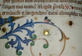 Il manoscritto 308_ fra miniature, storia e restauri